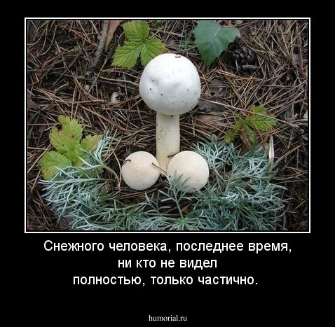 Снежного человека, последнее время, ни кто не видел полностью, только частично.