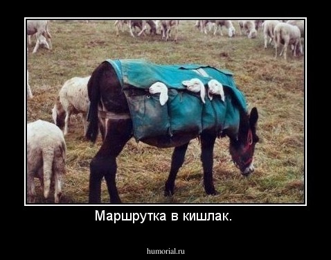 Маршрутка в кишлак. 