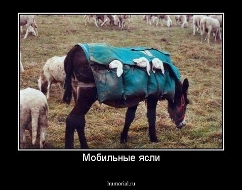 Мобильные ясли
