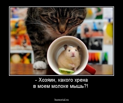 - Хозяин, какого хрена в моем молоке мышь?!