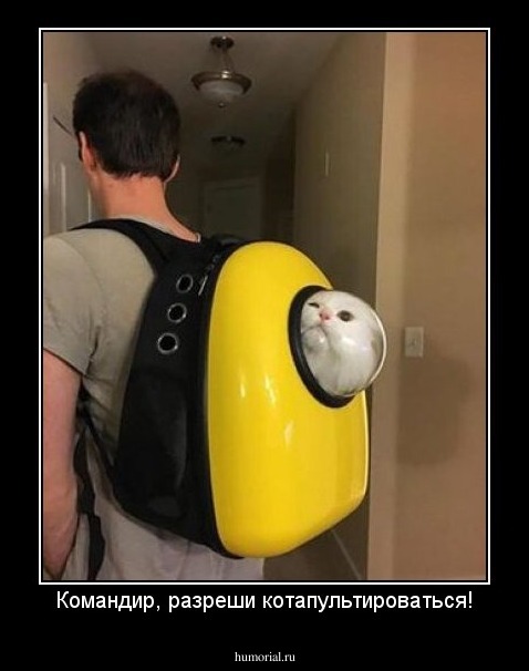 Командир, разреши котапультироваться!