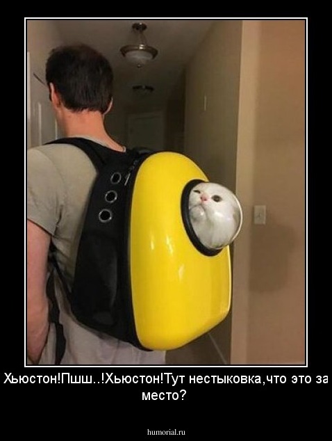 Хьюстон!Пшш..!Хьюстон!Тут нестыковка,что это за место?