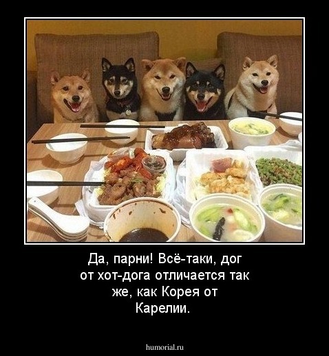 Да, парни! Всё-таки, дог от хот-дога отличается так же, как Корея от Карелии.