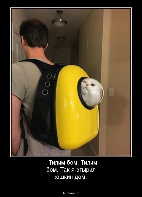 - Тилим бом, Тилим бом.
Так я стырил кошкин дом. 