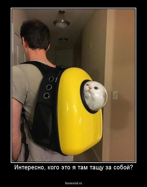 Интересно, кого это я там тащу за собой?