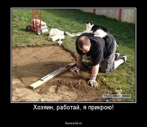 Хозяин, работай, я прикрою!