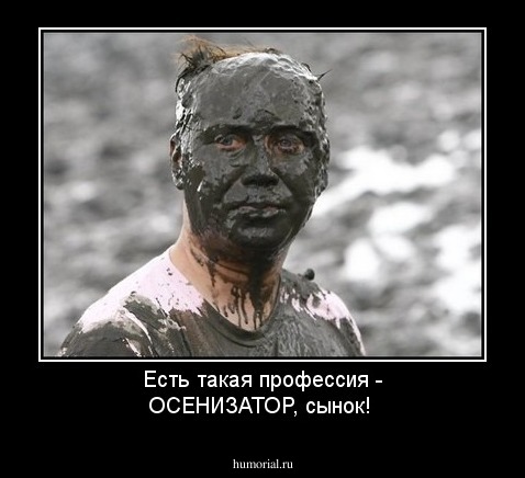 Есть такая профессия - ОСЕНИЗАТОР, сынок!
