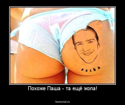 Похоже Паша - та ещё жопа!
