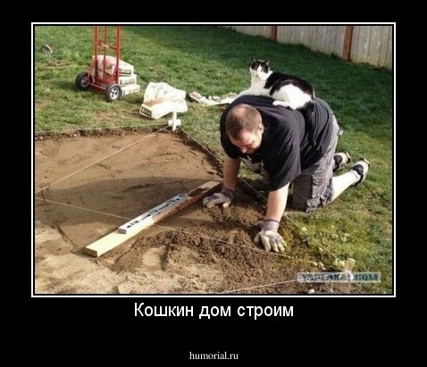 Кошкин дом строим
