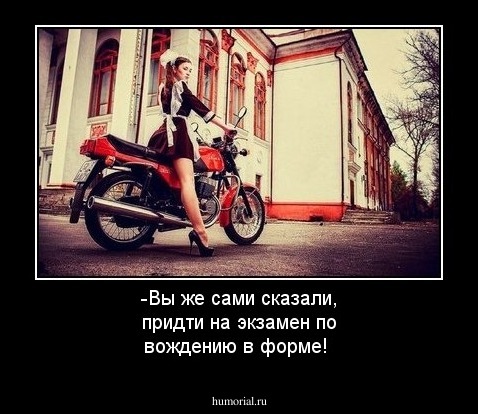 -Вы же сами сказали, придти на экзамен по вождению в форме!