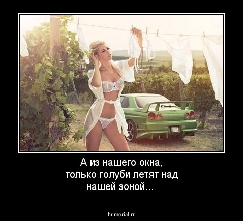 А из нашего окна, только голуби летят над нашей зоной...