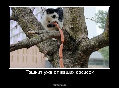 Тошнит уже от ваших сосисок