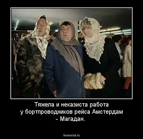 Тяжела и неказиста работа у бортпроводников рейса Амстердам - Магадан.