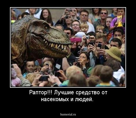 Раптор!!! Лучшие средство от насекомых и людей.