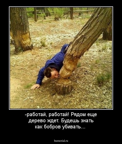 -работай, работай! Рядом еще дерево ждет. Будешь знать как бобров убивать...