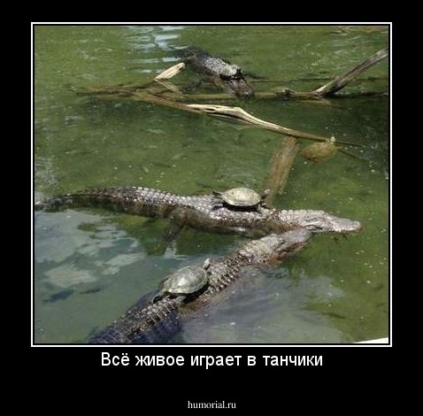 Всё живое играет в танчики