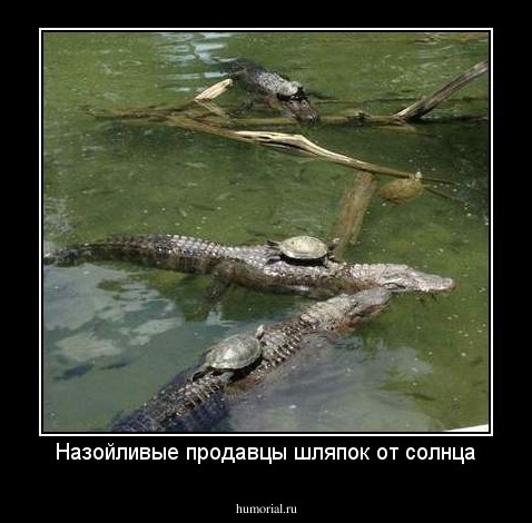 Назойливые продавцы шляпок от солнца