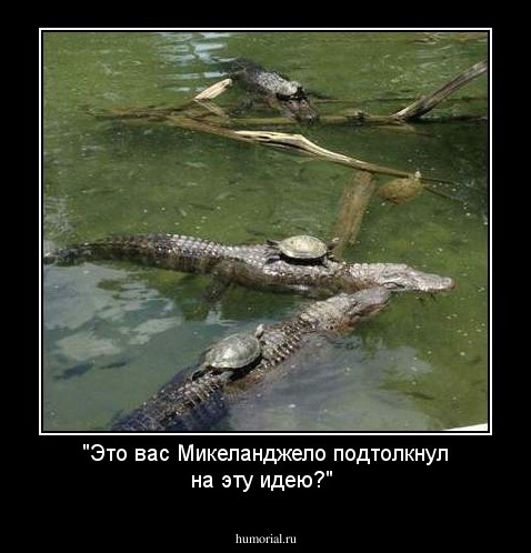 "Это вас Микеланджело подтолкнул на эту идею?"