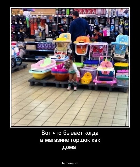 Вот что бывает когда в магазине горшок как дома