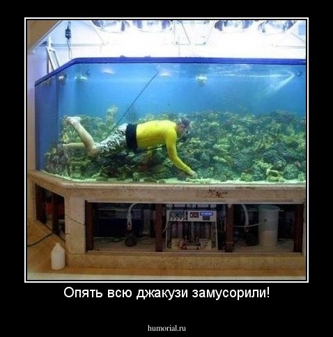 Опять всю джакузи замусорили!