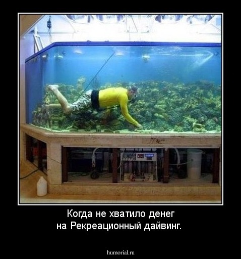 Когда не хватило денег на Рекреационный дайвинг.
