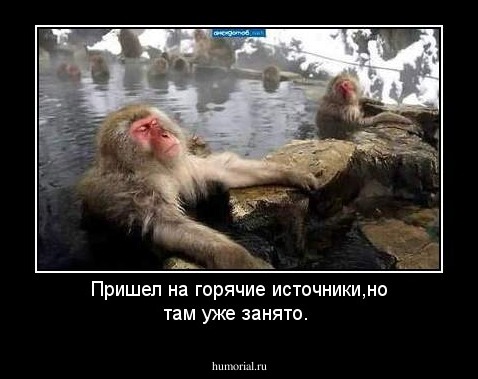 Пришел на горячие источники,но там уже занято.
