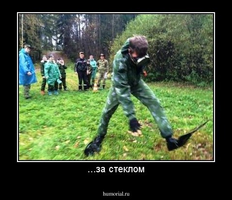 ...за стеклом