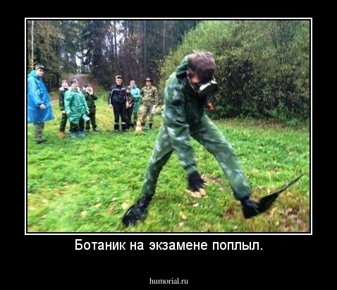 Ботаник на экзамене поплыл.