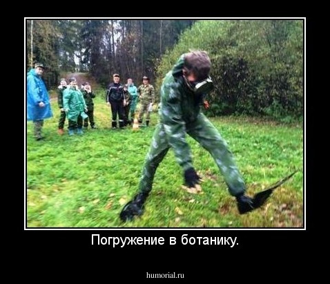 Погружение в ботанику.