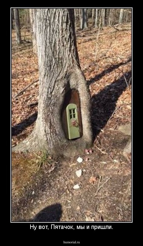 Ну вот, Пятачок, мы и пришли.