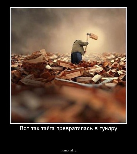 Вот так тайга превратилась в тундру
