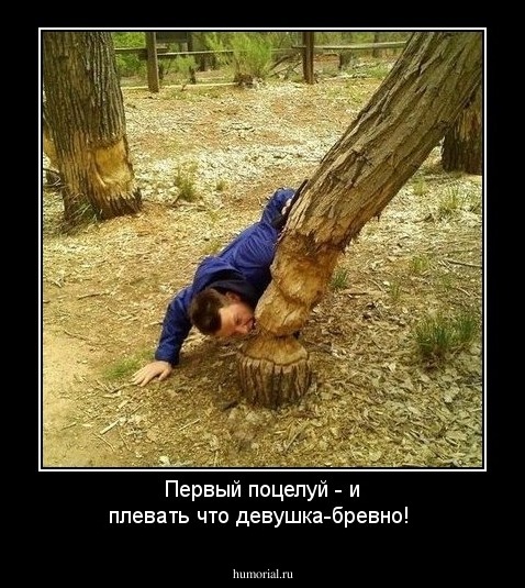 Первый поцелуй - и плевать что девушка-бревно!