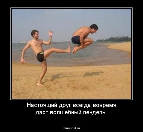 Настоящий друг всегда вовремя даст волшебный пендель