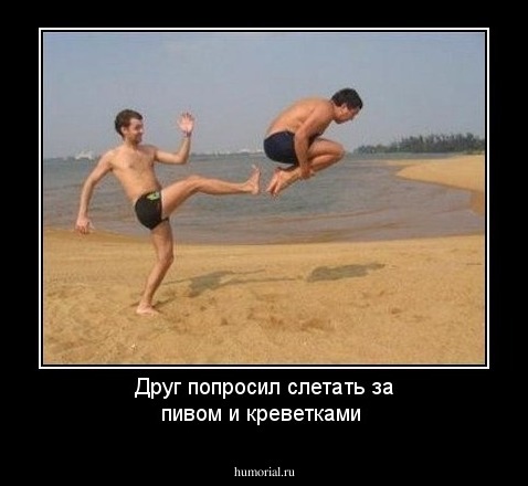 Друг попросил слетать за пивом и креветками