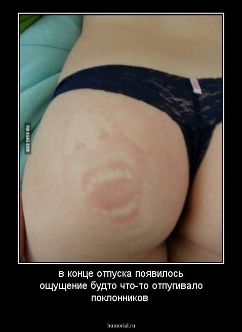 в конце отпуска появилось ощущение будто что-то
отпугивало поклонников