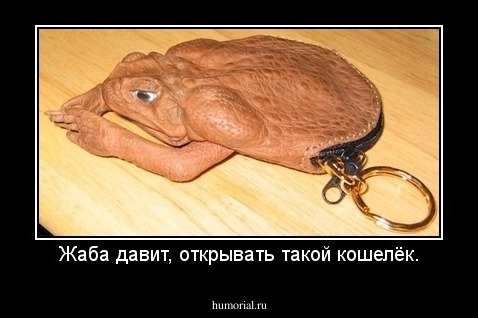 Жаба давит, открывать такой кошелёк.