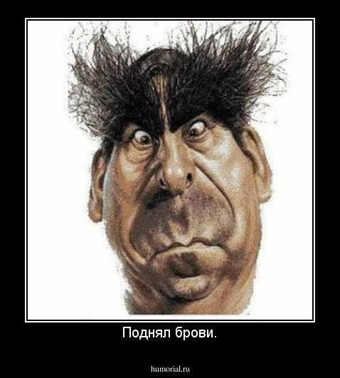 Поднял брови.