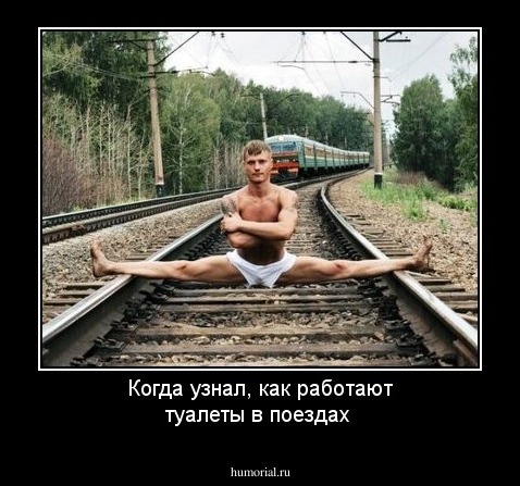 Когда узнал,  как работают туалеты в поездах 
