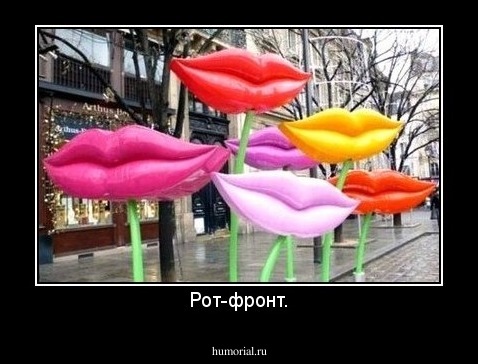 Рот-фронт.
