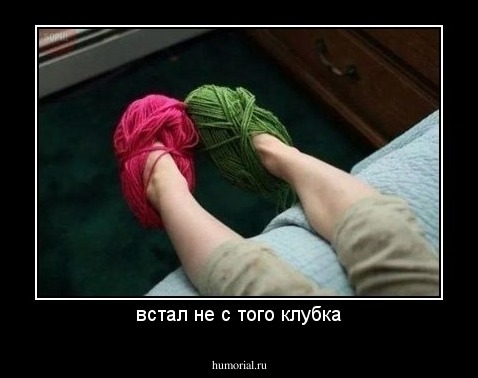 встал не с того клубка