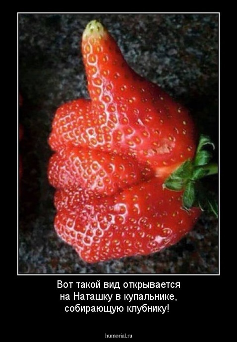 Вот такой вид открывается на Наташку в купальнике, собирающую клубнику!