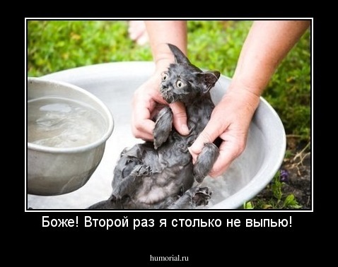 Боже! Второй раз я столько не выпью! 