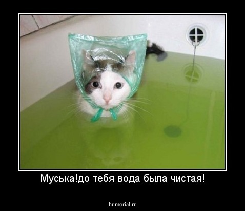 Муська!до тебя вода была чистая!