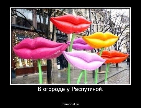 В огороде у Распутиной.