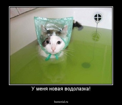 У меня новая водолазка!