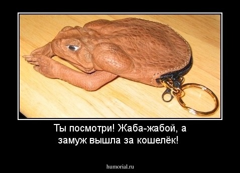 Ты посмотри! Жаба-жабой, а замуж  вышла  за кошелёк!