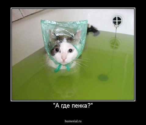 "А где пенка?"