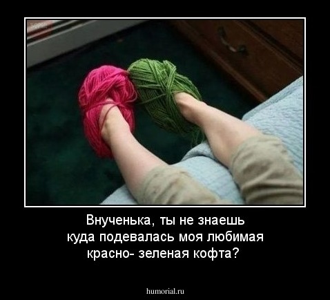 Внученька,  ты не знаешь куда подевалась моя любимая красно- зеленая кофта?
