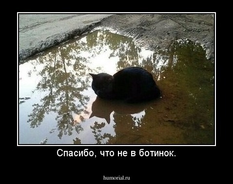 Спасибо, что не в ботинок.
