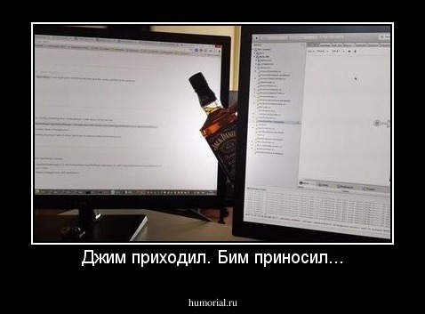 Джим приходил. Бим приносил...